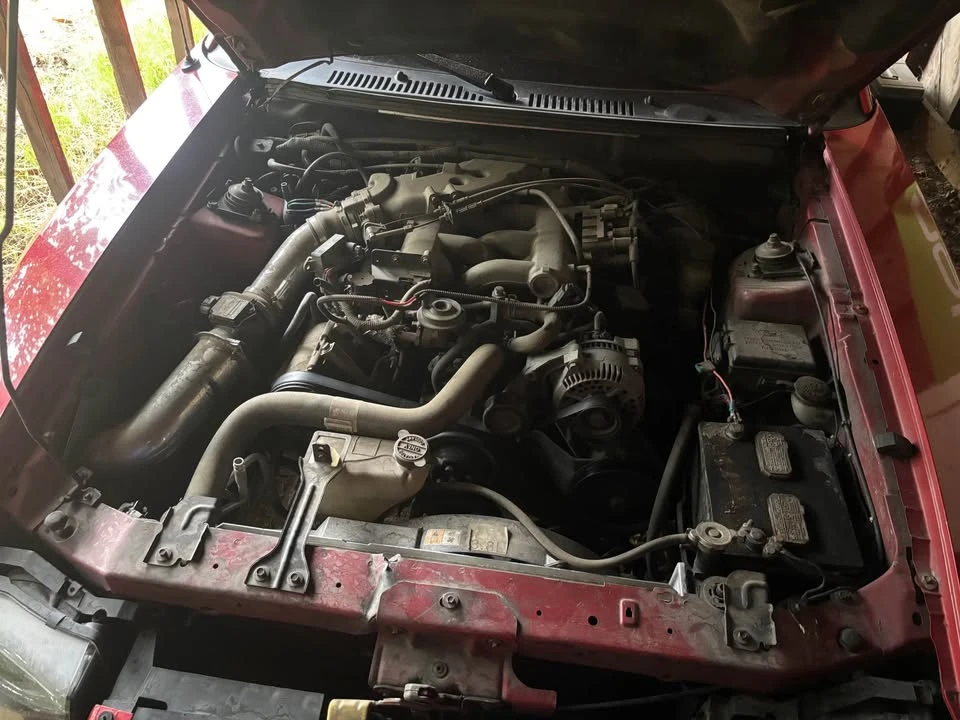2002 Ford SN95 Mustang - Image 10 of 10