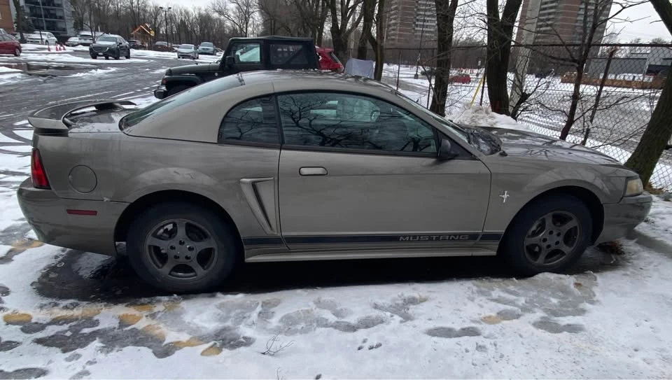 2002 Ford SN95 Mustang - Image 4 of 5
