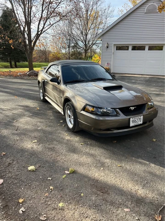 2002 Ford SN95 Mustang - Image 3 of 7