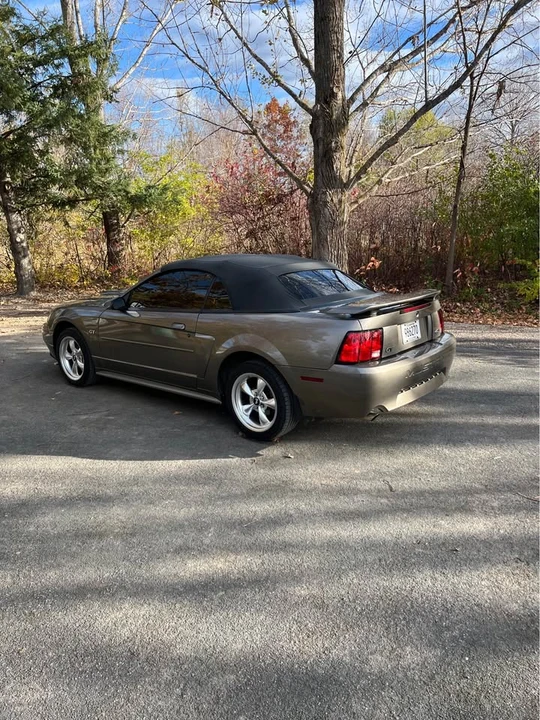 2002 Ford SN95 Mustang - Image 4 of 7
