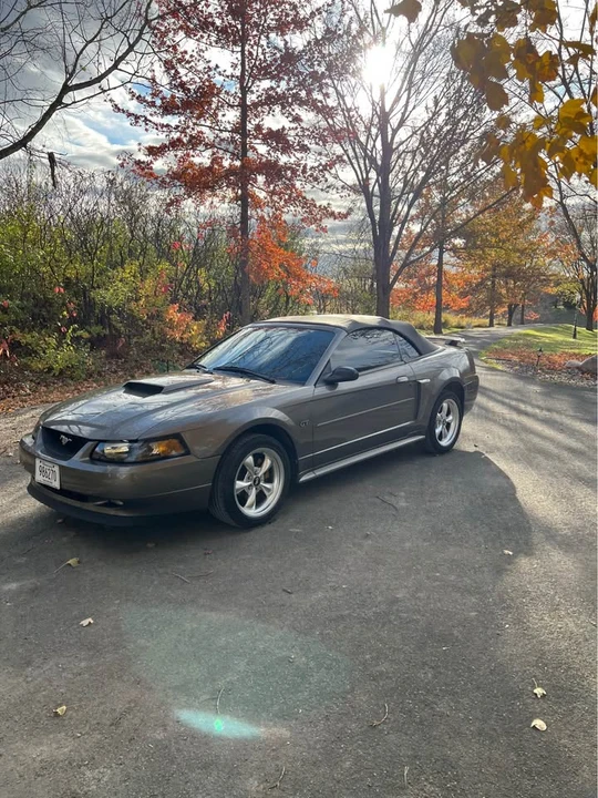2002 Ford SN95 Mustang - Image 2 of 7