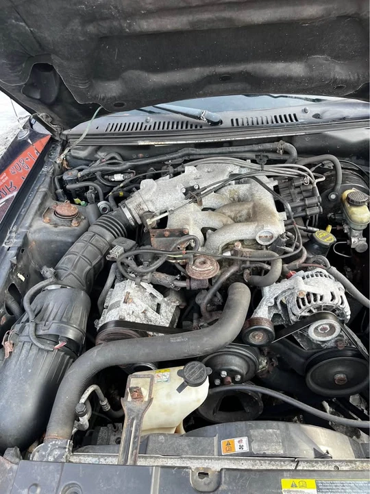 2002 Ford SN95 Mustang - Image 5 of 13