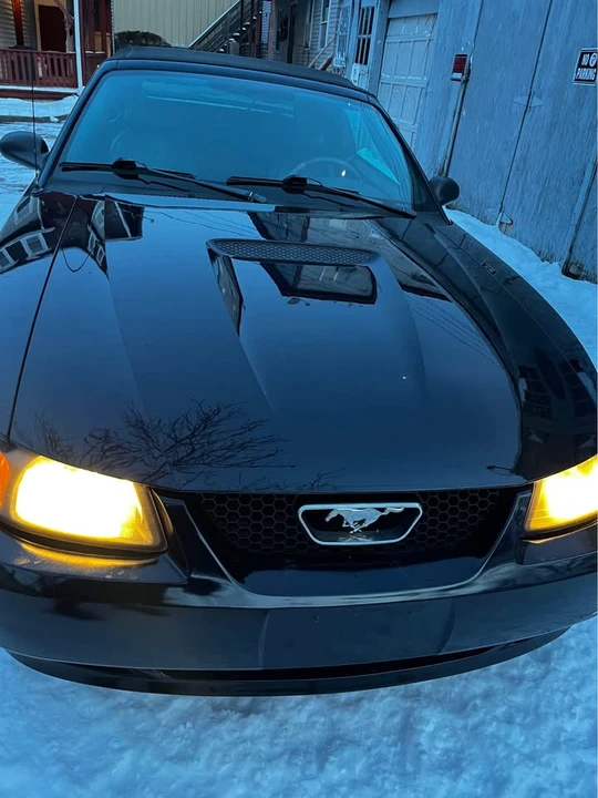 2002 Ford SN95 Mustang - Image 9 of 13