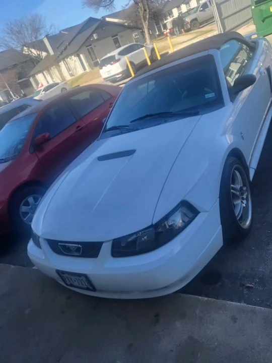 2002 Ford SN95 Mustang - Image 2 of 7