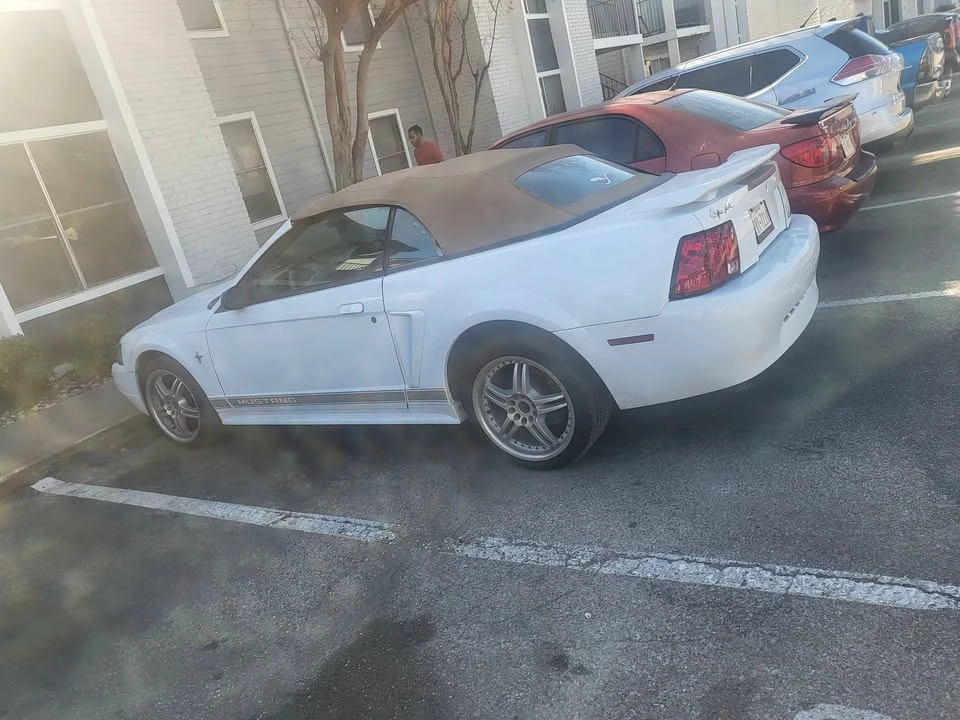 2002 Ford SN95 Mustang - Image 3 of 7