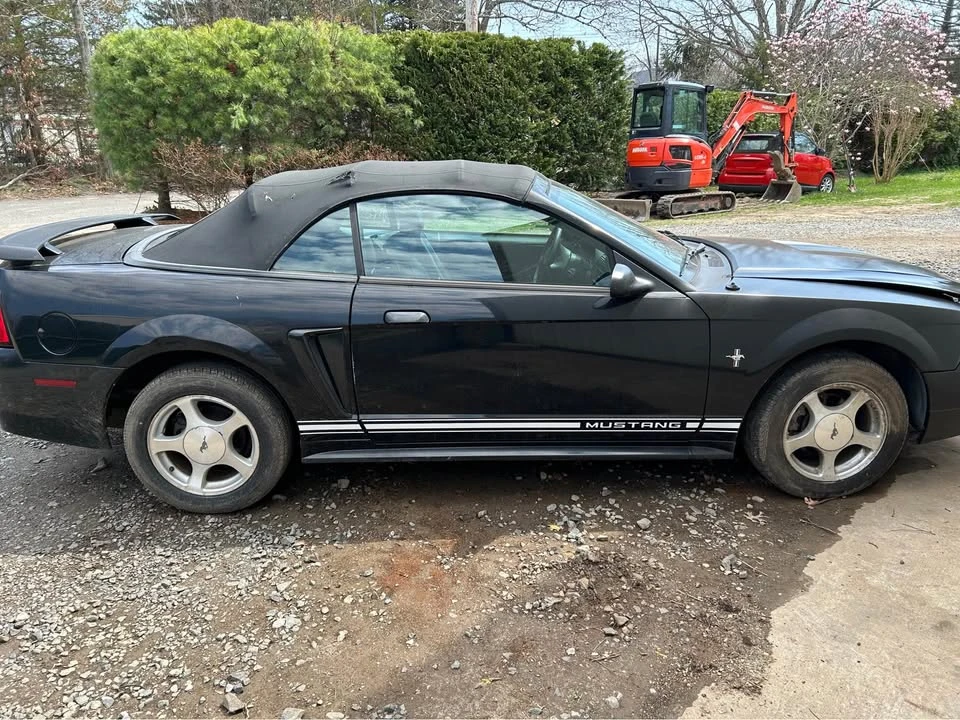 2002 Ford SN95 Mustang - Image 2 of 5