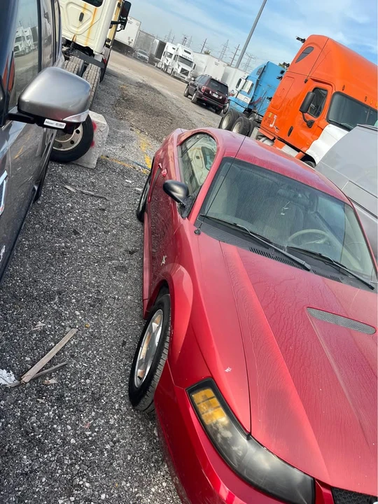 2002 Ford SN95 Mustang - Image 2 of 4