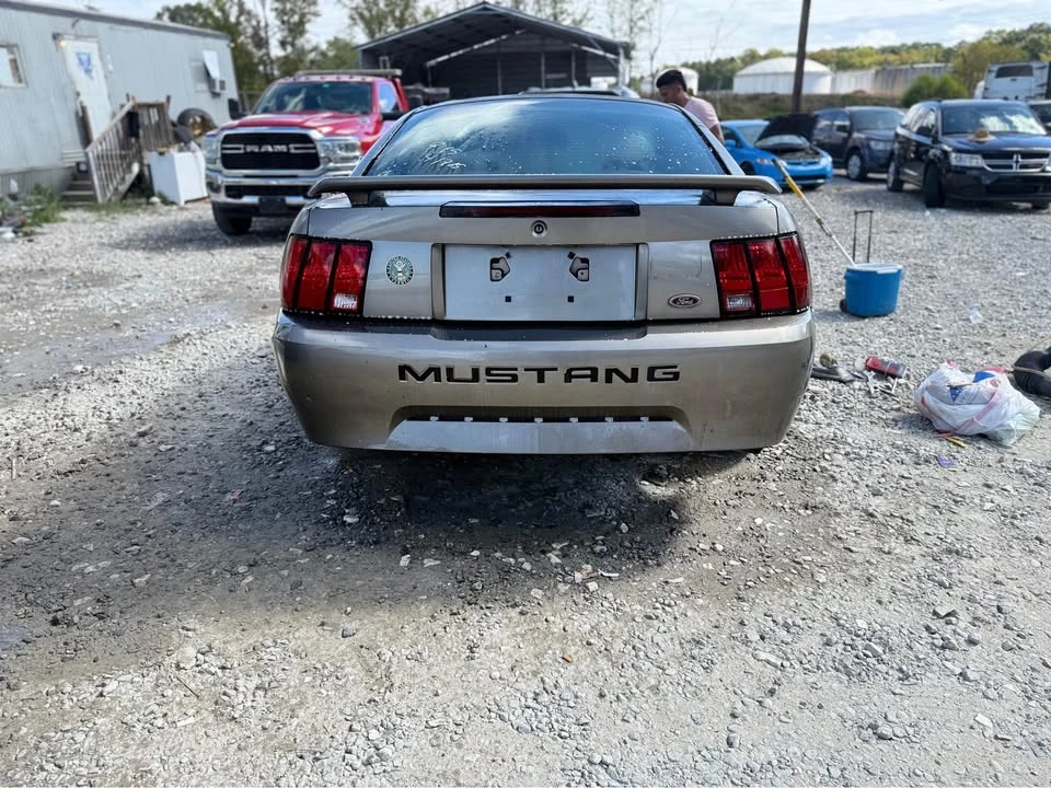 2002 Ford SN95 Mustang - Image 10 of 12