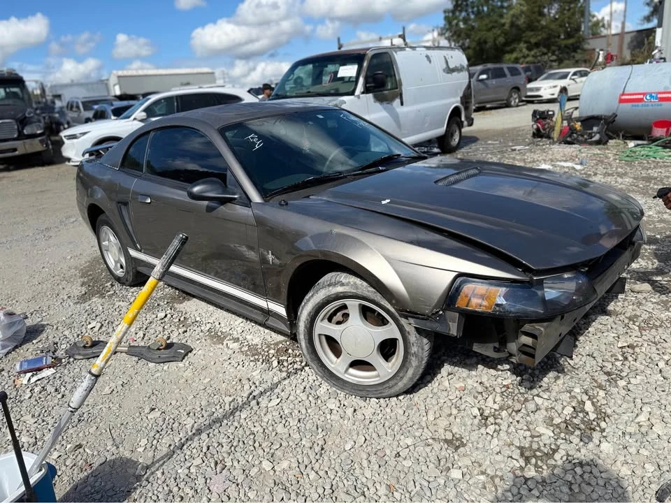 2002 Ford SN95 Mustang - Image 8 of 12