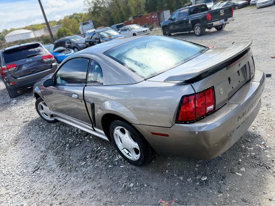 2002 Ford SN95 Mustang - Image 11 of 12