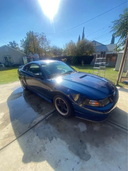 2002 Ford SN95 Mustang - Image 2 of 6