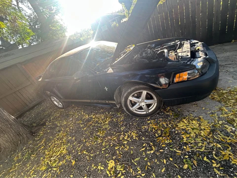 2002 Ford SN95 Mustang - Image 2 of 6