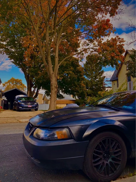 2002 Ford SN95 Mustang - Image 3 of 5