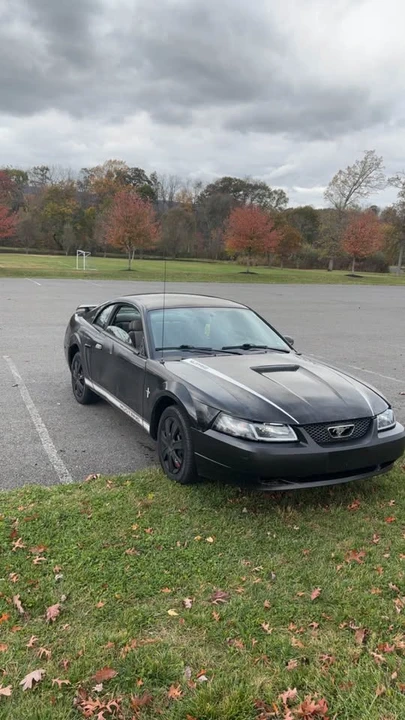 2002 Ford SN95 Mustang - Image 2 of 2