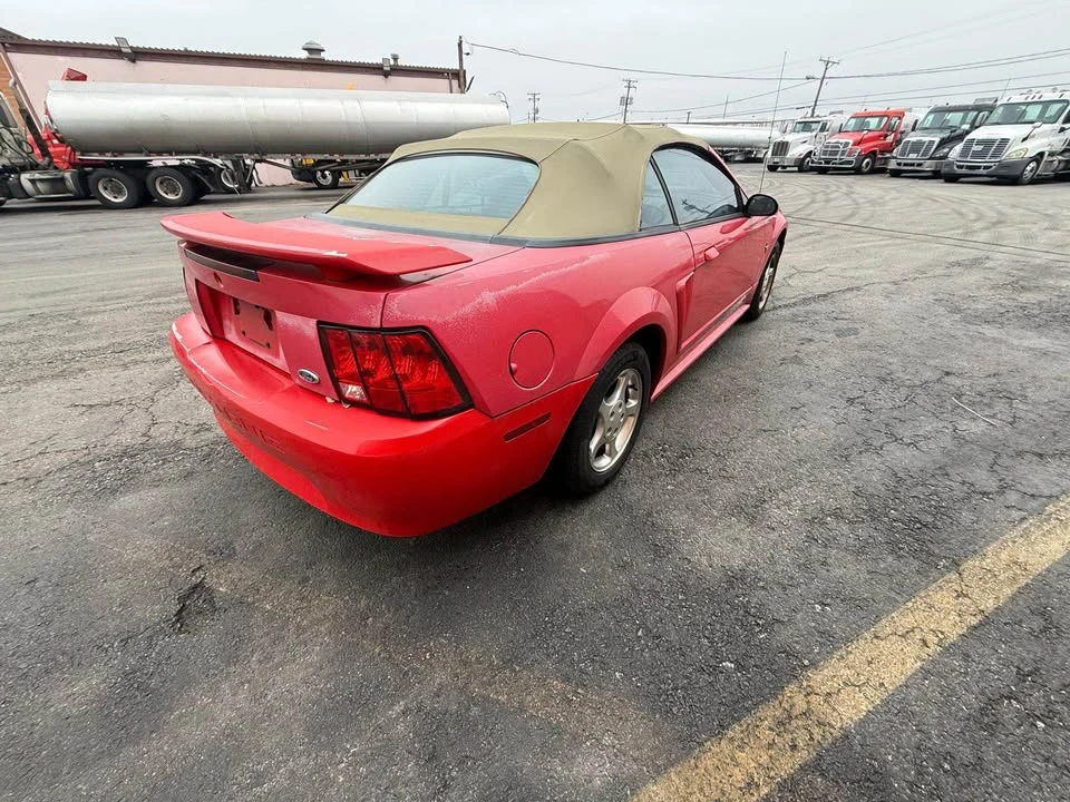 2002 Ford SN95 Mustang - Image 4 of 11