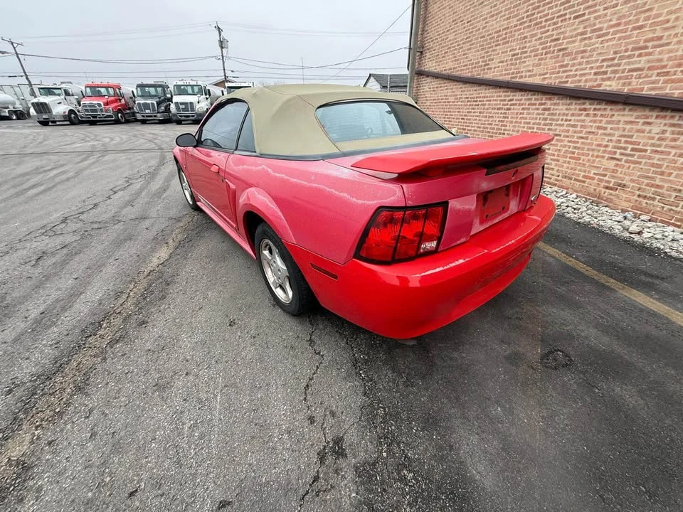 2002 Ford SN95 Mustang - Image 6 of 11