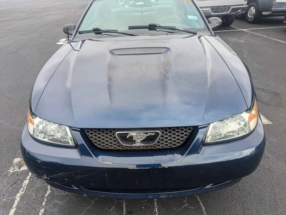 2002 Ford SN95 Mustang - Image 10 of 19
