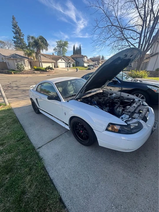 2002 Ford SN95 Mustang - Image 4 of 12