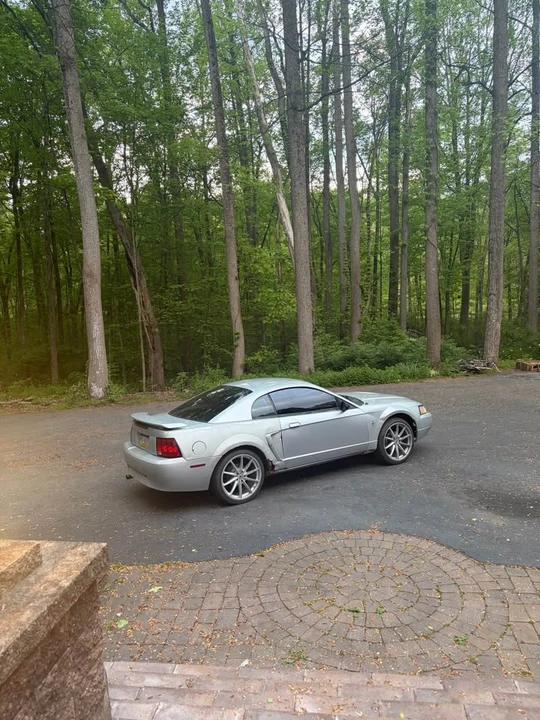 2002 Ford SN95 Mustang - Image 2 of 10