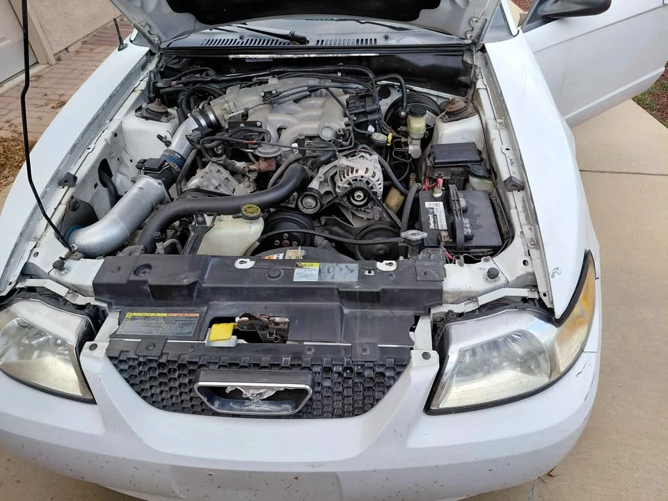2002 Ford SN95 Mustang - Image 3 of 9