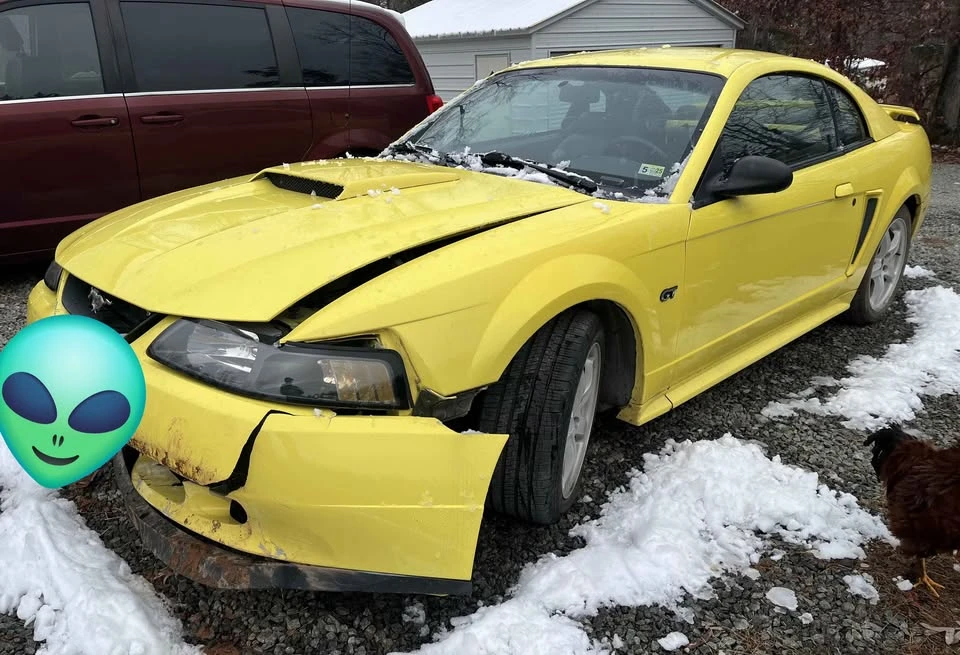 2002 Ford SN95 Mustang - Image 3 of 10