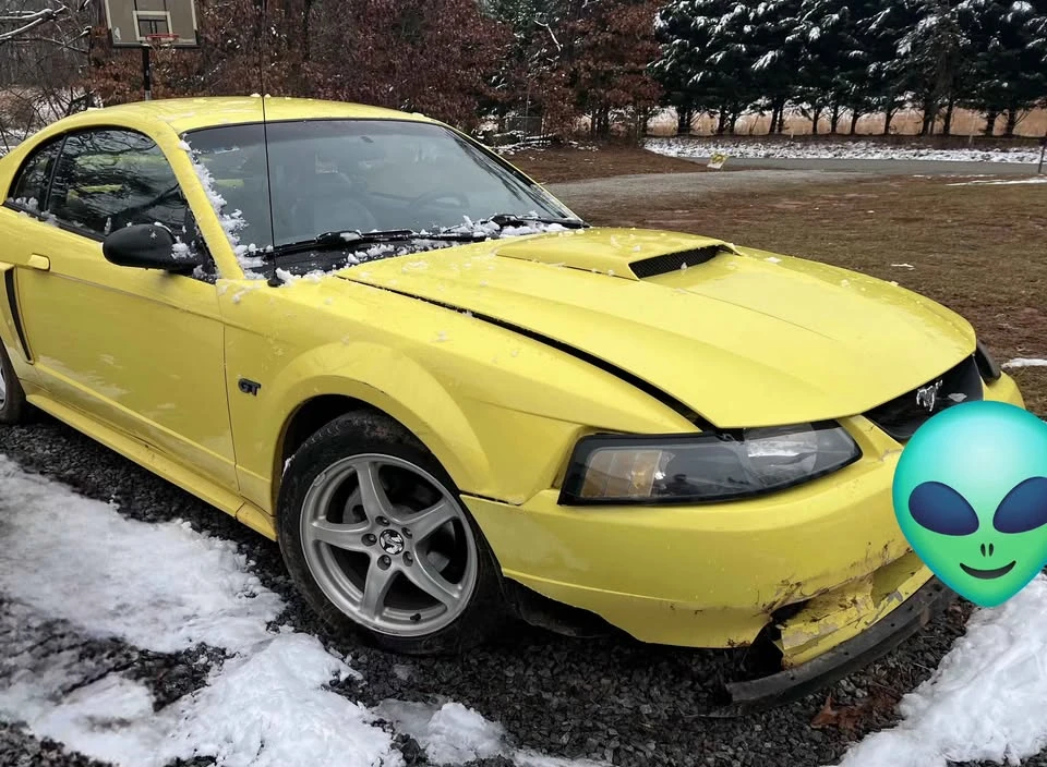 2002 Ford SN95 Mustang - Image 5 of 10