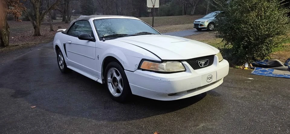 2002 Ford SN95 Mustang - Image 2 of 5