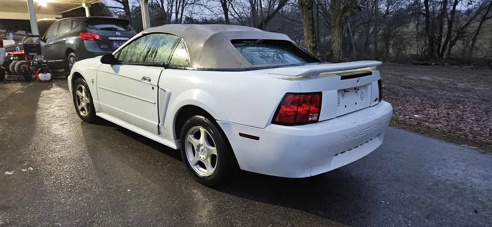 2002 Ford SN95 Mustang - Image 4 of 5