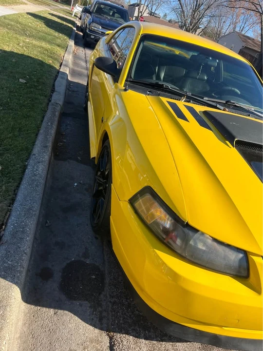 2002 Ford SN95 Mustang - Image 3 of 6