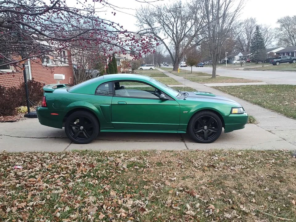 2002 Ford SN95 Mustang - Image 7 of 15