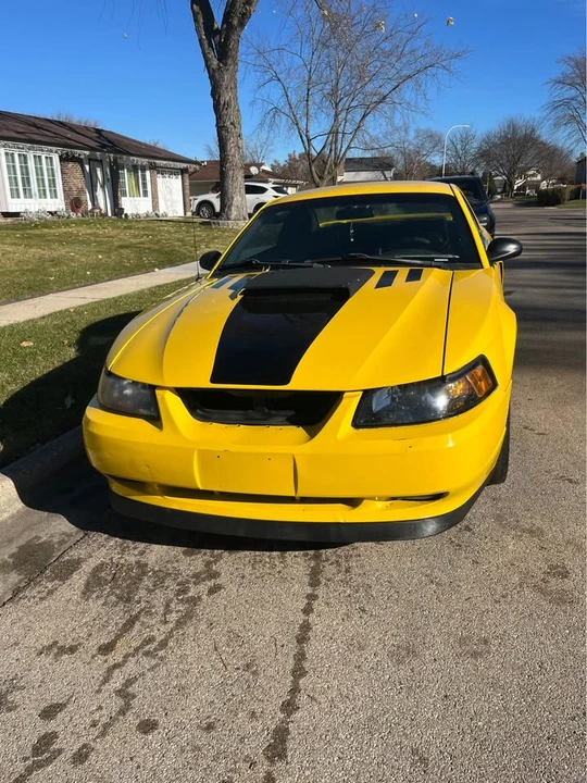 2002 Ford SN95 Mustang - Image 4 of 6