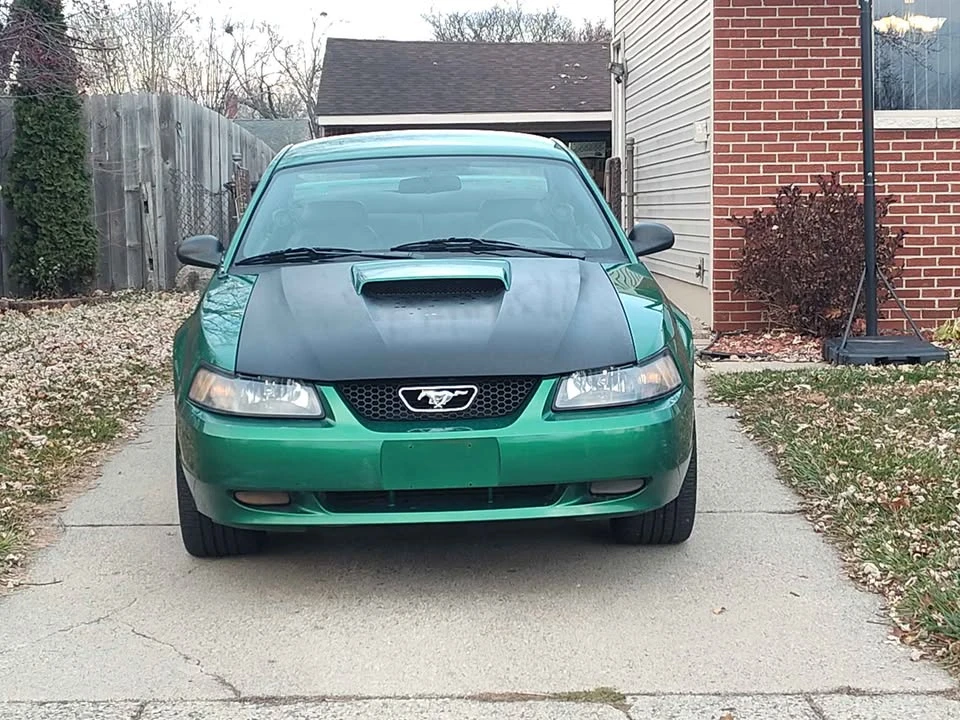 2002 Ford SN95 Mustang - Image 5 of 15