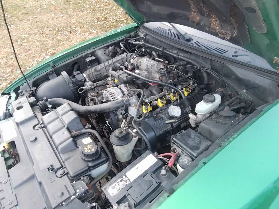 2002 Ford SN95 Mustang - Image 14 of 15
