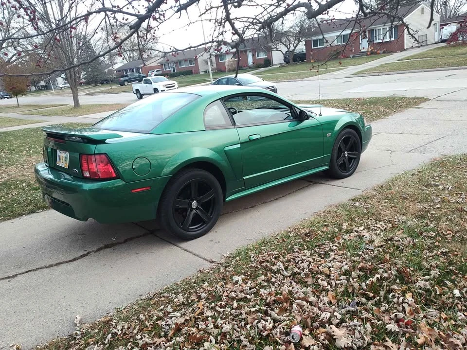 2002 Ford SN95 Mustang - Image 2 of 15