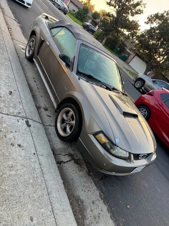 2002 Ford SN95 Mustang - Image 2 of 5