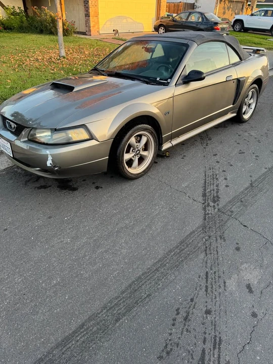2002 Ford SN95 Mustang - Image 3 of 5