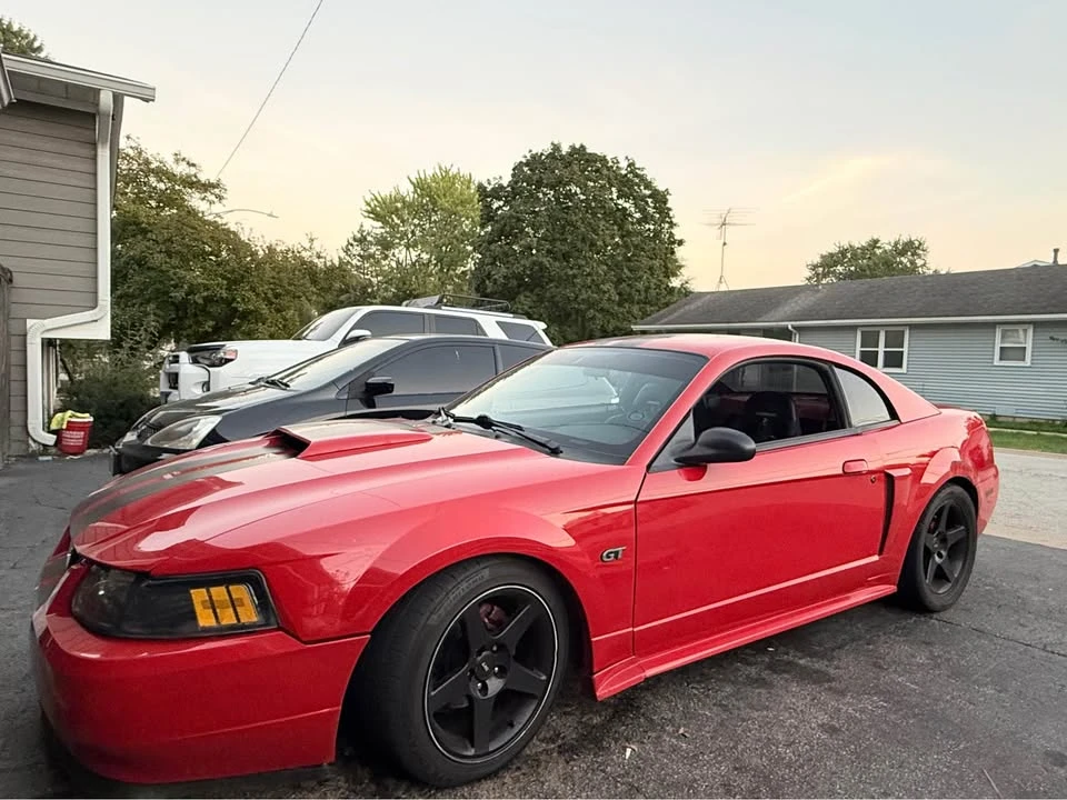 2002 Ford SN95 Mustang - Image 2 of 11