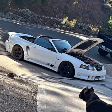2002 Ford Mustang GT Convertible