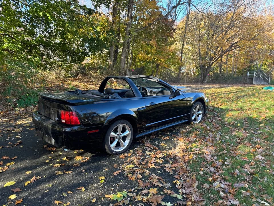 2002 Ford SN95 Mustang - Image 3 of 5