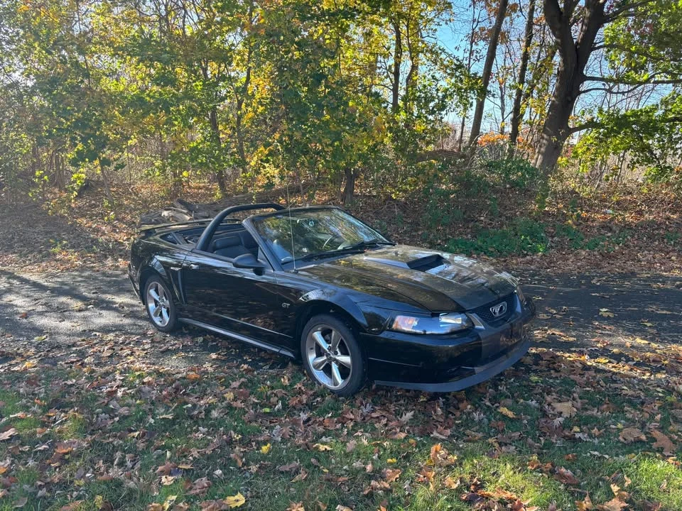 2002 Ford SN95 Mustang - Image 4 of 5