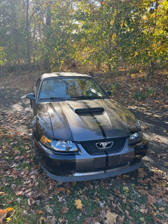 2002 Ford SN95 Mustang - Image 2 of 5