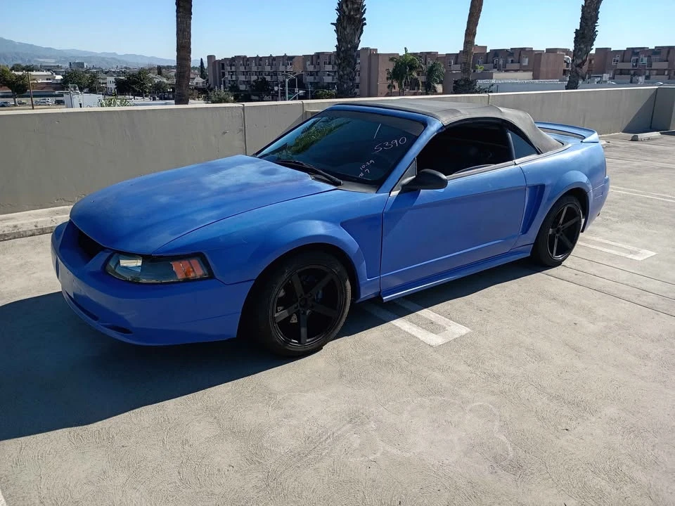 2002 Ford SN95 Mustang - Image 4 of 9