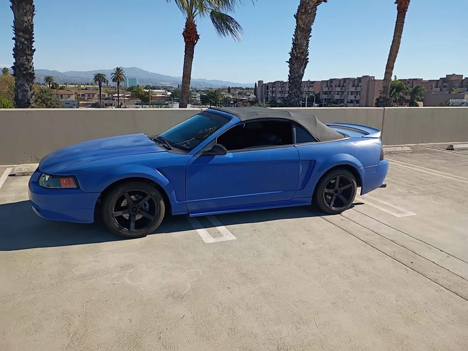 2002 Ford SN95 Mustang - Image 5 of 9