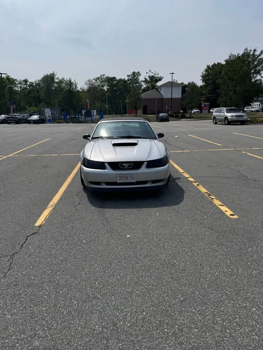 2002 Ford SN95 Mustang - Image 2 of 8