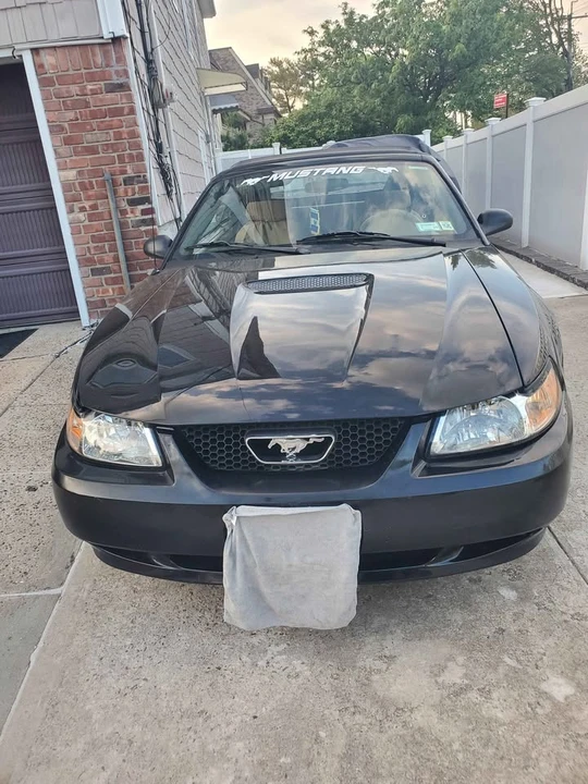 2002 Ford SN95 Mustang - Image 2 of 11