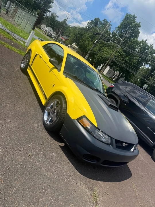 2002 Ford SN95 Mustang - Image 4 of 7