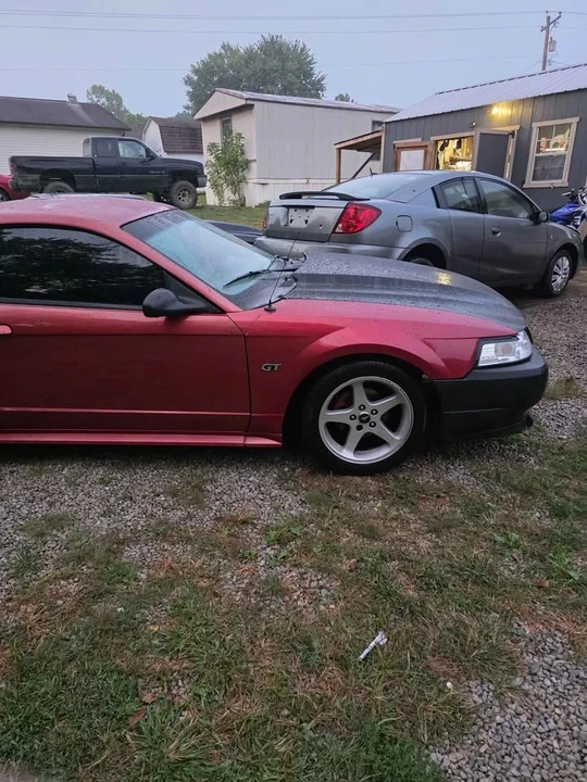 2002 Ford SN95 Mustang - Image 3 of 7