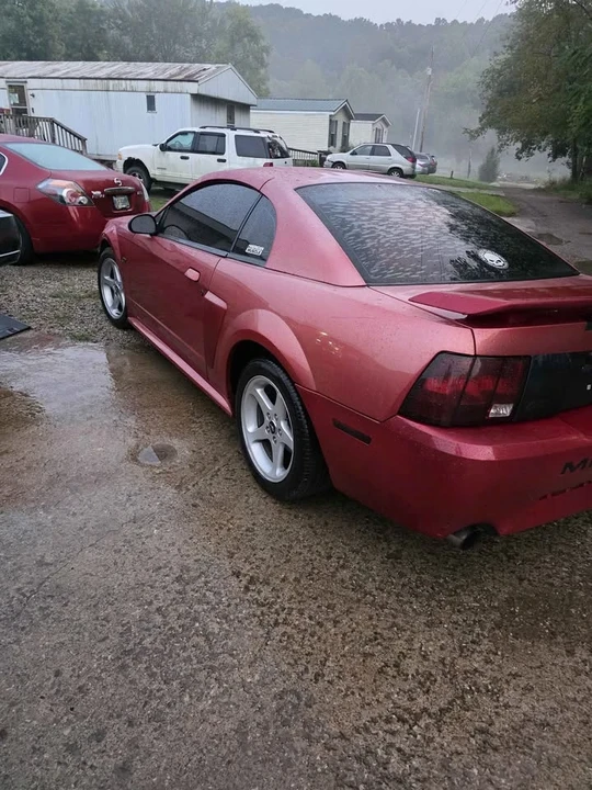 2002 Ford SN95 Mustang - Image 5 of 7