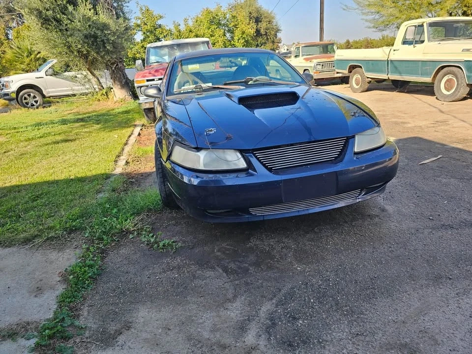2002 Ford SN95 Mustang - Image 3 of 5