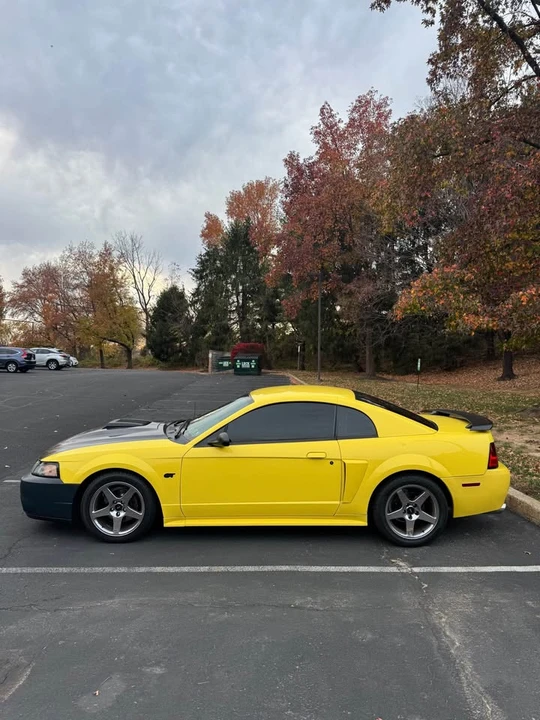 2002 Ford SN95 Mustang - Image 3 of 8